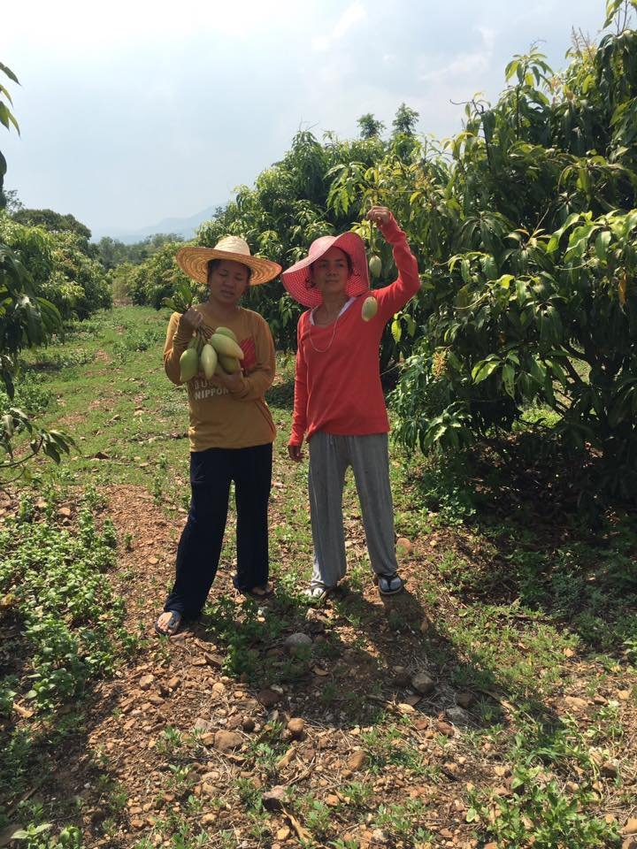 My sister and I at the Organic Farm in Chiang Mai